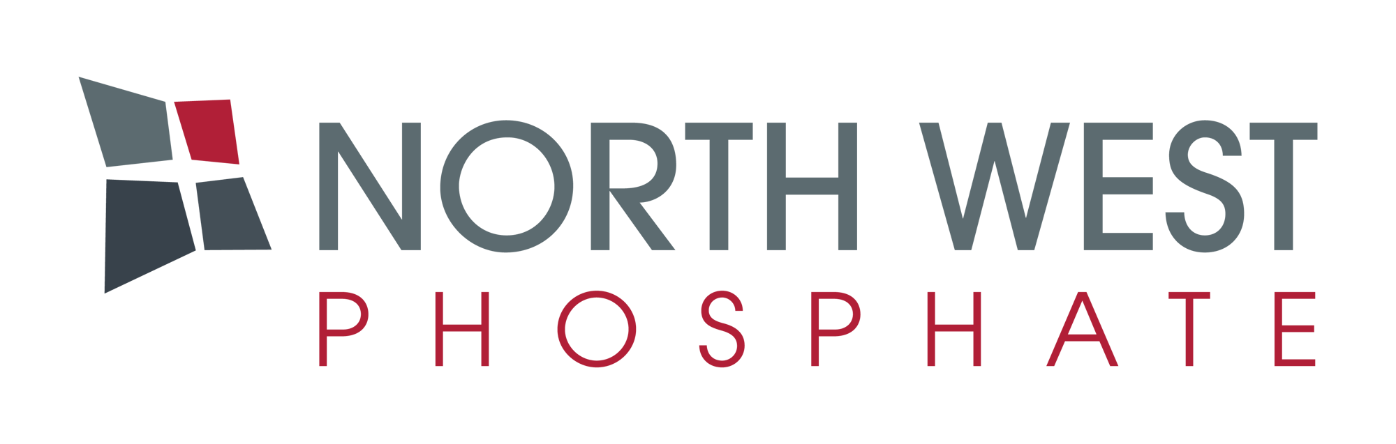 NWP Main Logo HR PNG Transparent Background (002)