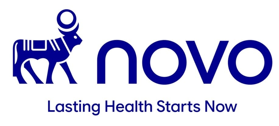 Novo New logo website