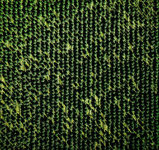 aerial-view-of-farmland-and-rows-of-crops-2021-08-26-16-01-23-utc