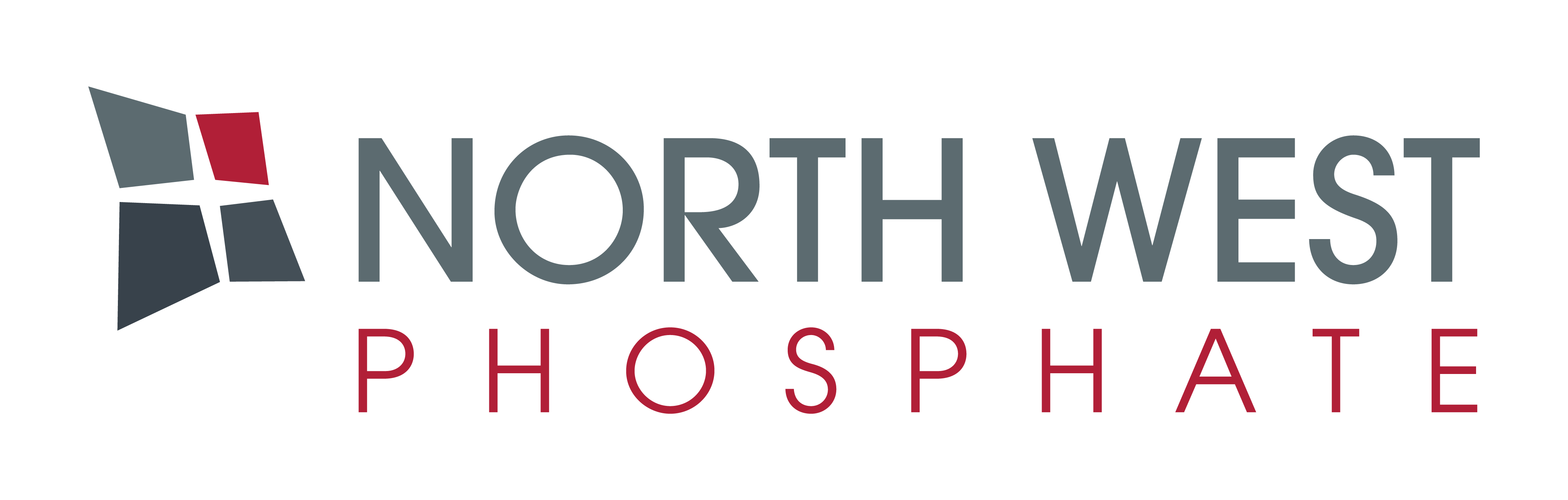 NWP Main Logo HR PNG Transparent Background (002)