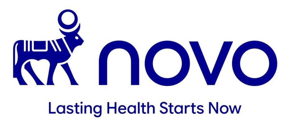 Novo New logo website
